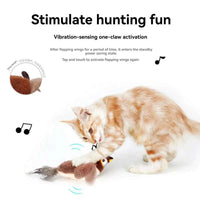 Interactive Cat Toys - Rechargeable Chirping Bird with Catnip