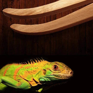 Bamboo Reptile Feeding Tweezers - Eco - Friendly & Safe Tools - Sweet Home Online Store