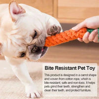 Carrot Dog Bite Rope toy - Sweet Home Online Store