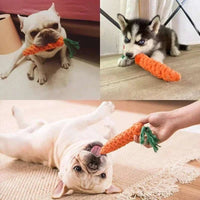 Carrot Dog Bite Rope toy - Sweet Home Online Store