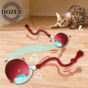 Cat with interactive rolling ball toy, automatic rolling ball, feline entertainment.