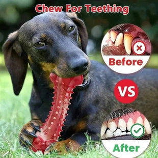 DoIndestructible Dog Toys: Durable Rubber Chew Bone for Dogs