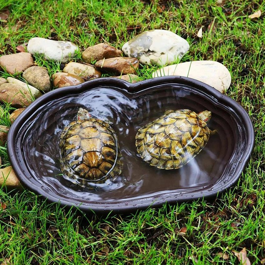 Large Reptile Water Bowl - Bathing Pool Accessory for Amphibians - Sweet Home Online Store