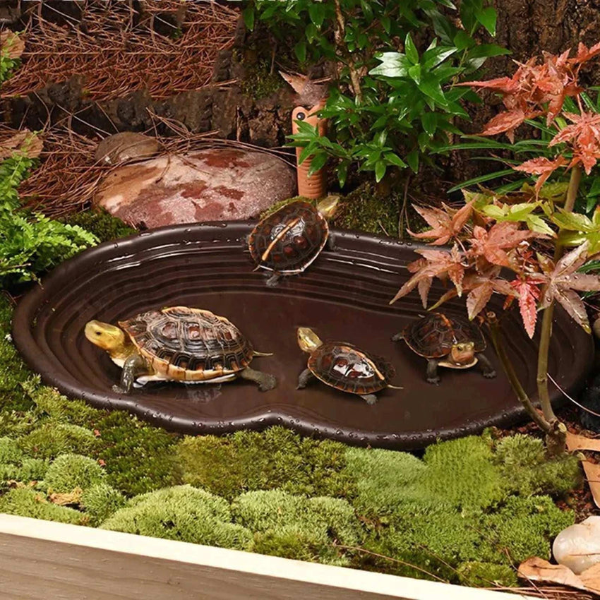 Large Reptile Water Bowl - Bathing Pool Accessory for Amphibians - Sweet Home Online Store