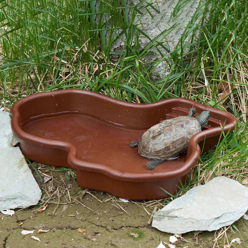 Large Reptile Water Bowl - Bathing Pool Accessory for Amphibians - Sweet Home Online Store