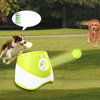 Pet Toy: Mini Tennis Throwing Pinball Machine for Dogs & Cats🎾🐶🎉 - Sweet Home Online Store