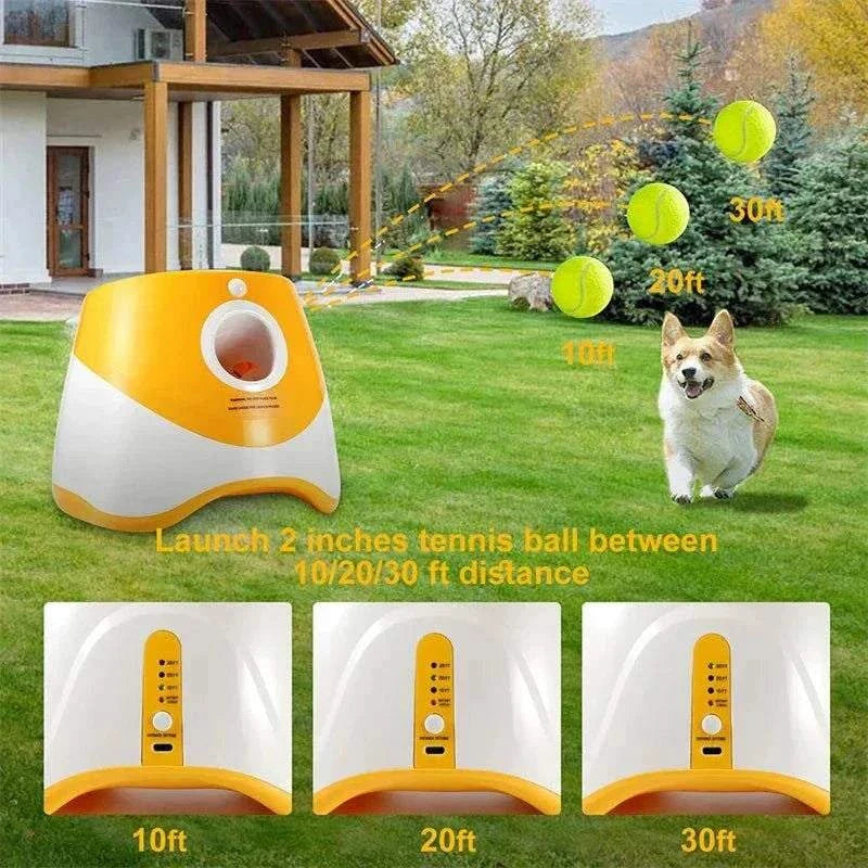 Pet Toy: Mini Tennis Throwing Pinball Machine for Dogs & Cats🎾🐶🎉 - Sweet Home Online Store