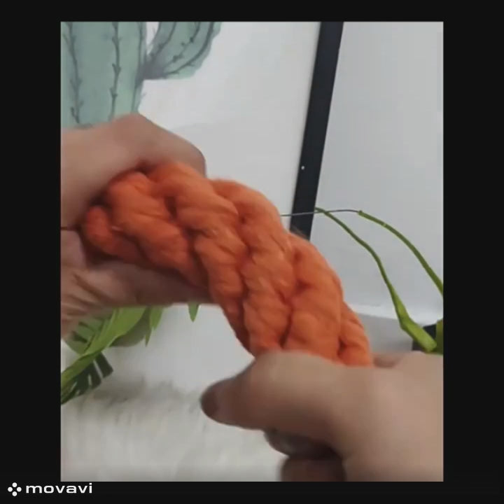 Carrot Dog Bite Rope toy