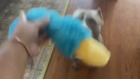 Plush Dog Toys for Aggressive Chewers - Yellow Duck Toy