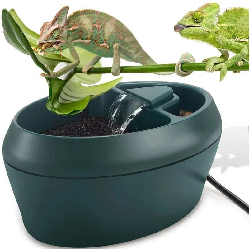 Reptile Chameleon Cantina With Snacks Trough - Sweet Home Online Store