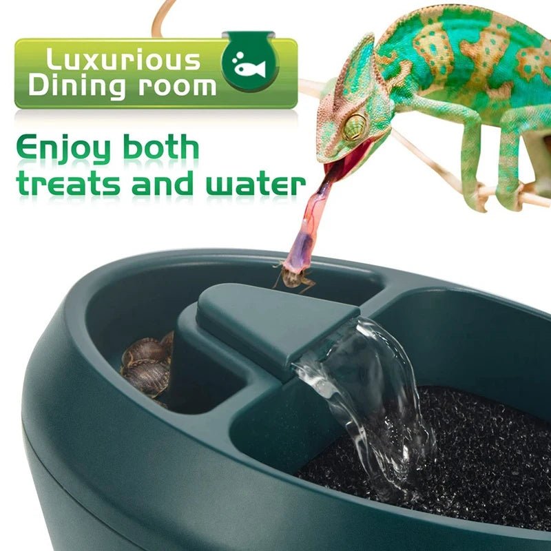 Reptile Chameleon Cantina With Snacks Trough - Sweet Home Online Store